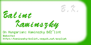 balint kaminszky business card